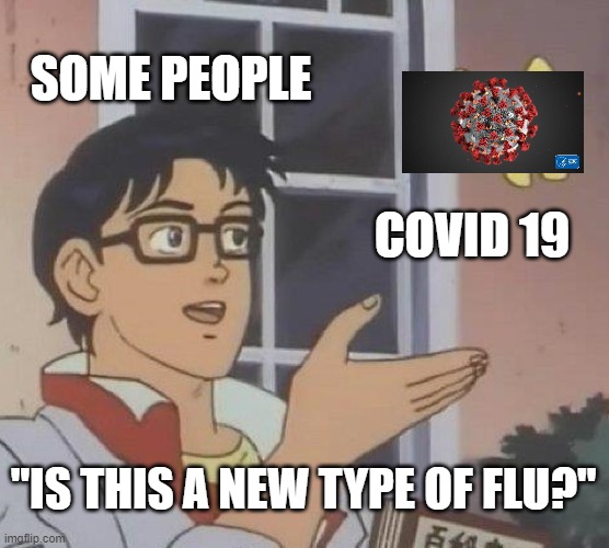 Some humans | SOME PEOPLE; COVID 19; "IS THIS A NEW TYPE OF FLU?" | image tagged in memes,is this a pigeon | made w/ Imgflip meme maker