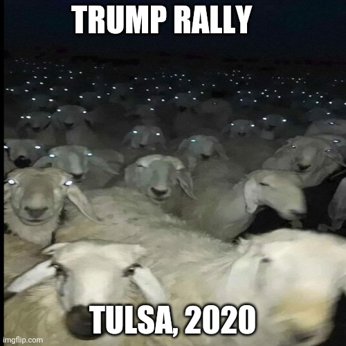 Trump rally, tulsa 2020 | TRUMP RALLY; TULSA, 2020 | image tagged in coronavirus,covidiots,covid19,trump supporters,donald trump,covid | made w/ Imgflip meme maker