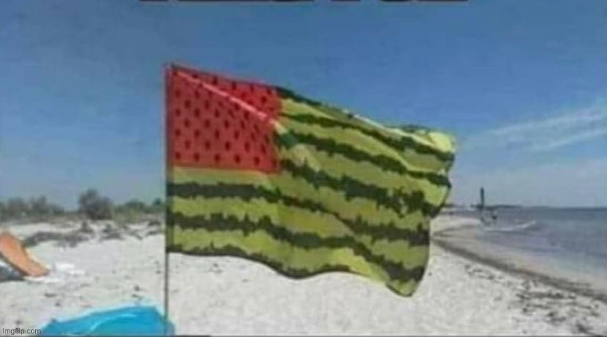 Flag | image tagged in watermelon,watermelon flag | made w/ Imgflip meme maker