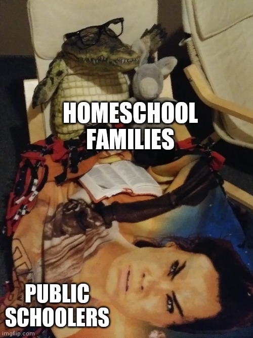 Wise Alligator | HOMESCHOOL FAMILIES; PUBLIC SCHOOLERS | image tagged in wise alligator | made w/ Imgflip meme maker
