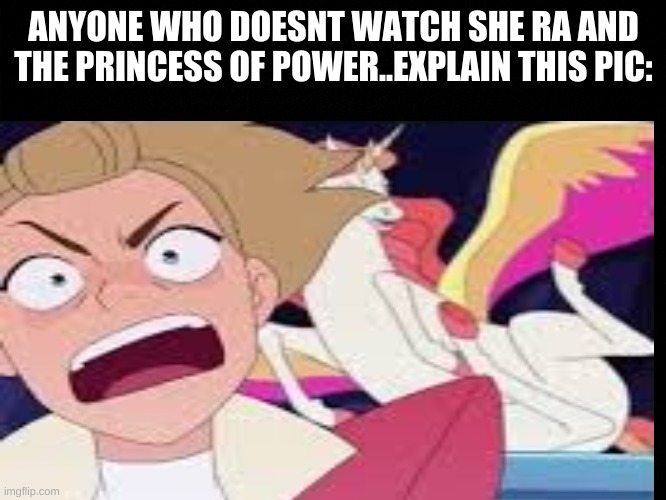 EXPLAIN | ANYONE WHO DOESNT WATCH SHE RA AND THE PRINCESS OF POWER..EXPLAIN THIS PIC: | image tagged in explain | made w/ Imgflip meme maker