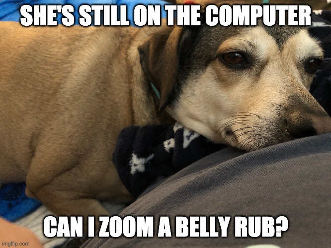 belly rubs meme