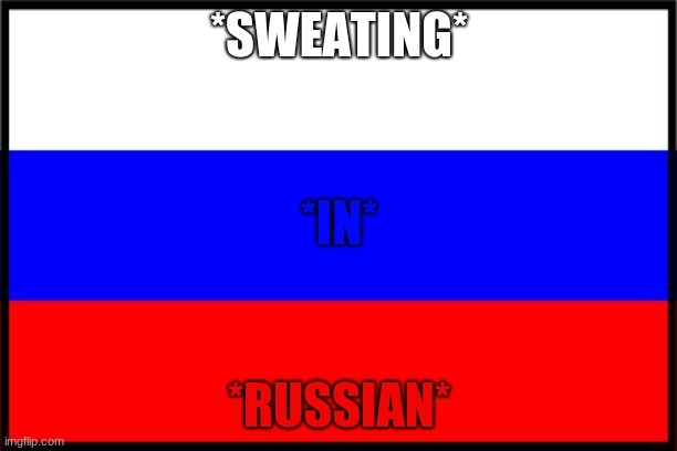 Russian Flag | *SWEATING* *RUSSIAN* *IN* | image tagged in russian flag | made w/ Imgflip meme maker
