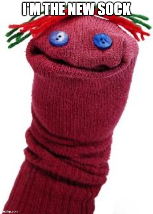sock puppet | I'M THE NEW SOCK | image tagged in sock puppet | made w/ Imgflip meme maker