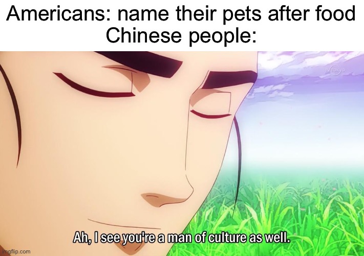 Ah i see | Americans: name their pets after food
Chinese people: | image tagged in ah i see | made w/ Imgflip meme maker