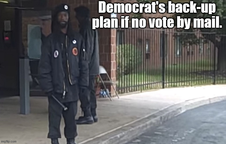 Helping you to remember how to vote since 2008 | Democrat's back-up plan if no vote by mail. | image tagged in election,voting,democratic party | made w/ Imgflip meme maker