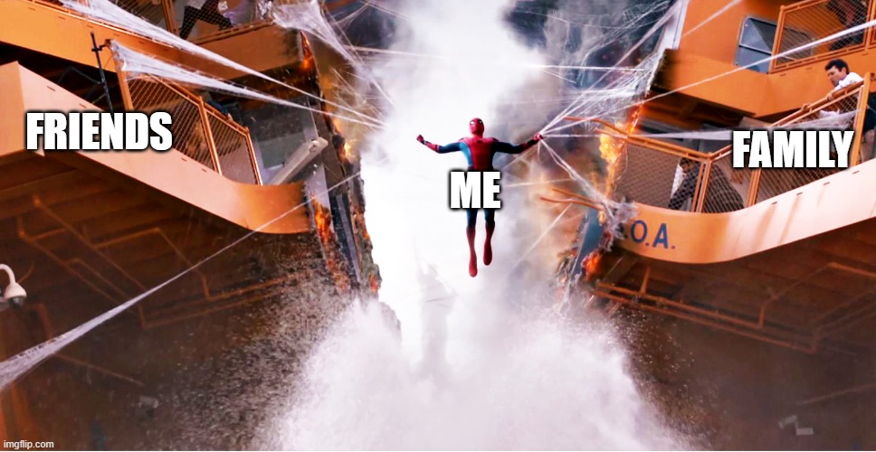 FRIENDS; FAMILY; ME | image tagged in spiderman | made w/ Imgflip meme maker