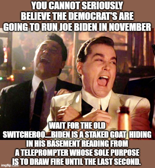 tep | YOU CANNOT SERIOUSLY BELIEVE THE DEMOCRAT'S ARE GOING TO RUN JOE BIDEN IN NOVEMBER; WAIT FOR THE OLD SWITCHEROO....BIDEN IS A STAKED GOAT  HIDING IN HIS BASEMENT READING FROM A TELEPROMPTER WHOSE SOLE PURPOSE IS TO DRAW FIRE UNTIL THE LAST SECOND. | image tagged in good fellas hilarious,democrats,socialism,2020 elections | made w/ Imgflip meme maker