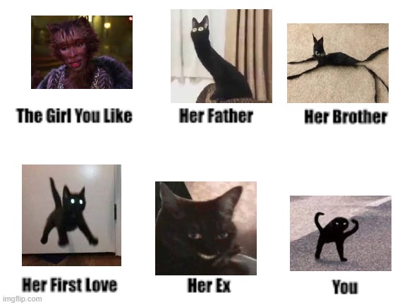 image tagged in memes,cursed image,cursed,mistake,cursed cats,cats | made w/ Imgflip meme maker