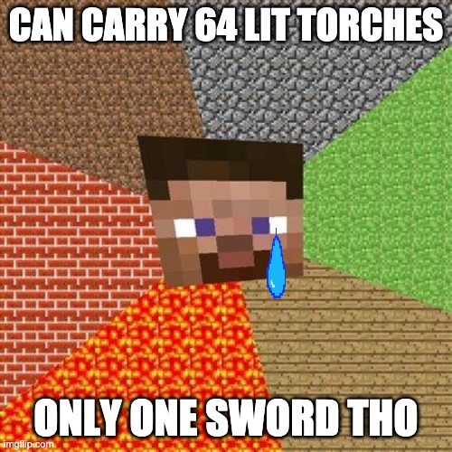 bruh | CAN CARRY 64 LIT TORCHES; ONLY ONE SWORD THO | image tagged in minecraft steve | made w/ Imgflip meme maker