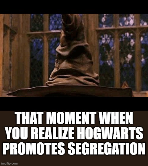 Jes' gonna leave this here | THAT MOMENT WHEN YOU REALIZE HOGWARTS PROMOTES SEGREGATION | image tagged in sorting hat,segregation,divide,divide and conquer,socialization,indoctrination | made w/ Imgflip meme maker