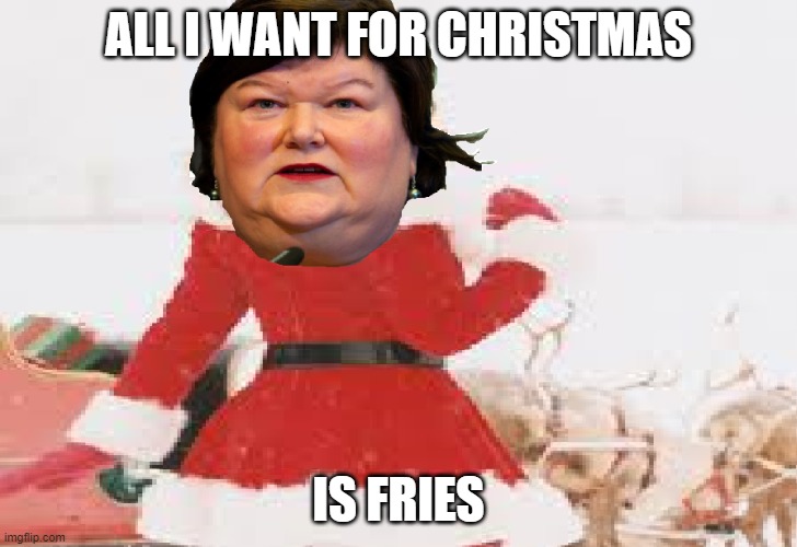 Maggie De Block: The Last Christmas | ALL I WANT FOR CHRISTMAS; IS FRIES | image tagged in christmas | made w/ Imgflip meme maker