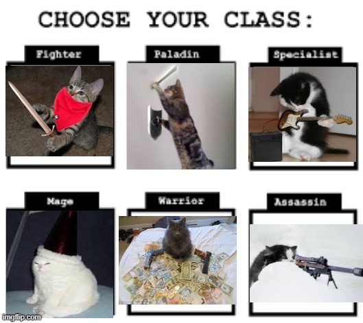 image tagged in cursed image,cats,cats with guns,warrior cats,catsniper,memes | made w/ Imgflip meme maker