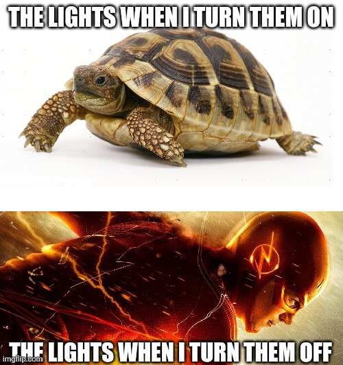 So true | THE LIGHTS WHEN I TURN THEM ON; THE LIGHTS WHEN I TURN THEM OFF | image tagged in slow vs fast meme | made w/ Imgflip meme maker