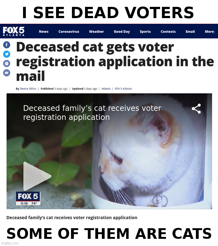 Dead Cat Democrats For Biden! | image tagged in democrat,cats,mail,ballot,voter fraud,joe biden | made w/ Imgflip meme maker