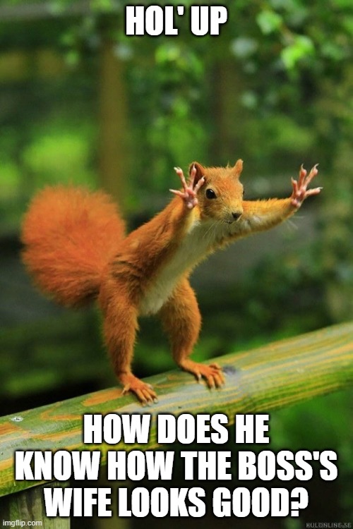 Wait a Minute Squirrel | HOL' UP HOW DOES HE KNOW HOW THE BOSS'S WIFE LOOKS GOOD? | image tagged in wait a minute squirrel | made w/ Imgflip meme maker
