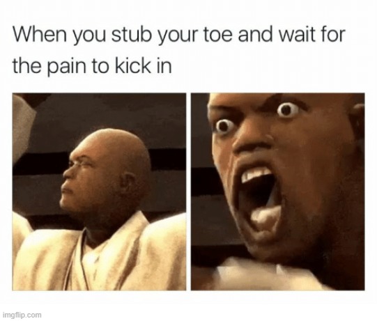 all the timee | image tagged in stubbed my toe | made w/ Imgflip meme maker