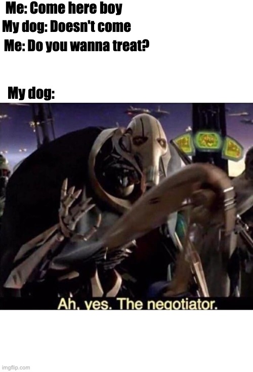 My dog | Me: Come here boy; My dog: Doesn't come; Me: Do you wanna treat? My dog: | image tagged in ah  yes the negotiator | made w/ Imgflip meme maker