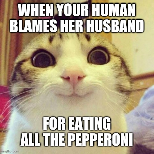 Smiling Cat | WHEN YOUR HUMAN BLAMES HER HUSBAND; FOR EATING ALL THE PEPPERONI | image tagged in memes,smiling cat | made w/ Imgflip meme maker