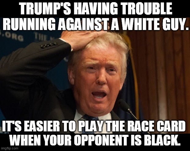 How can Trump scare you with phantoms when Joe Biden isn't scary? Biden is a moderate, old white guy. | TRUMP'S HAVING TROUBLE RUNNING AGAINST A WHITE GUY. IT'S EASIER TO PLAY THE RACE CARD 
WHEN YOUR OPPONENT IS BLACK. | image tagged in biden,ok,trump,scary,nuts | made w/ Imgflip meme maker