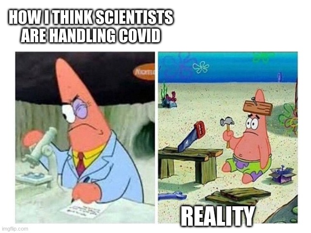 Patrick Scientist vs. Nail | HOW I THINK SCIENTISTS ARE HANDLING COVID; REALITY | image tagged in patrick scientist vs nail | made w/ Imgflip meme maker
