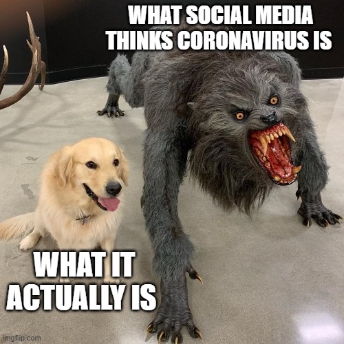 Good dog scary dog | WHAT SOCIAL MEDIA THINKS CORONAVIRUS IS; WHAT IT ACTUALLY IS | image tagged in good dog scary dog | made w/ Imgflip meme maker
