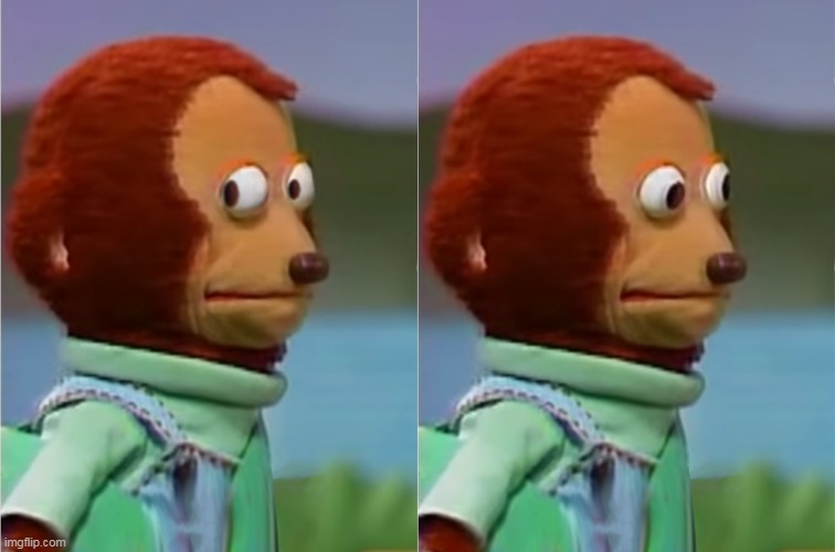 Monkey meme | image tagged in monkey meme | made w/ Imgflip meme maker