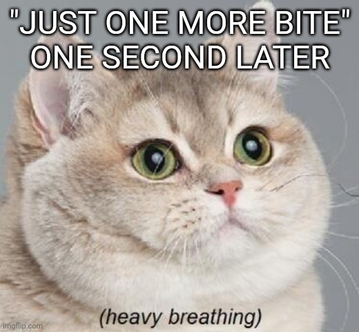 Oof | "JUST ONE MORE BITE"
ONE SECOND LATER | image tagged in memes,heavy breathing cat | made w/ Imgflip meme maker