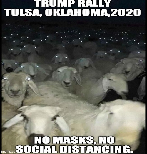 Trump rally Tulsa 2020 | image tagged in covid19,trump supporters,coronavirus,trump,conservatives,trump rally | made w/ Imgflip meme maker