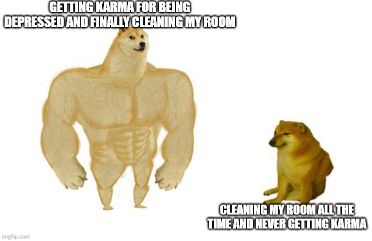 Big dog small dog | GETTING KARMA FOR BEING DEPRESSED AND FINALLY CLEANING MY ROOM; CLEANING MY ROOM ALL THE TIME AND NEVER GETTING KARMA | image tagged in big dog small dog,memes | made w/ Imgflip meme maker