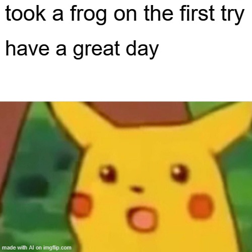 Surprised Pikachu Meme | took a frog on the first try; have a great day | image tagged in memes,surprised pikachu | made w/ Imgflip meme maker