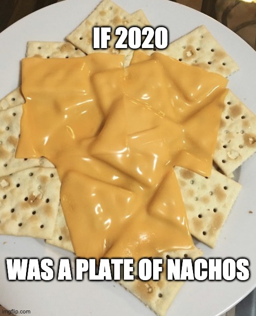 2020 nachos |  IF 2020; WAS A PLATE OF NACHOS | image tagged in nachos | made w/ Imgflip meme maker