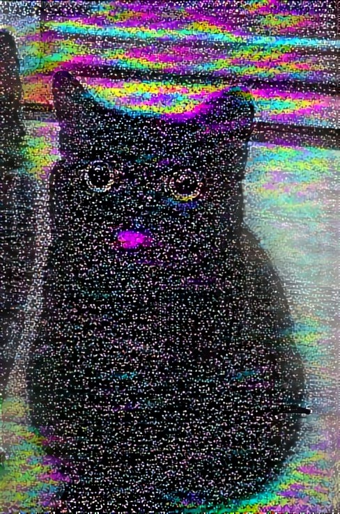 High Quality Static cat Blank Meme Template