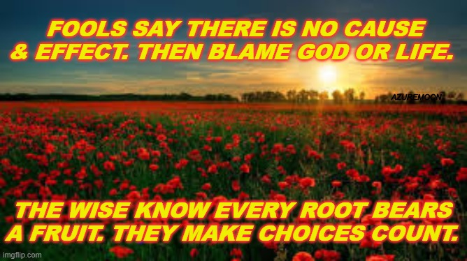 MAKE CHOICES COUNT | FOOLS SAY THERE IS NO CAUSE & EFFECT. THEN BLAME GOD OR LIFE. AZUREMOON; THE WISE KNOW EVERY ROOT BEARS A FRUIT. THEY MAKE CHOICES COUNT. | image tagged in inspirational memes,consequences,truth,adventure | made w/ Imgflip meme maker