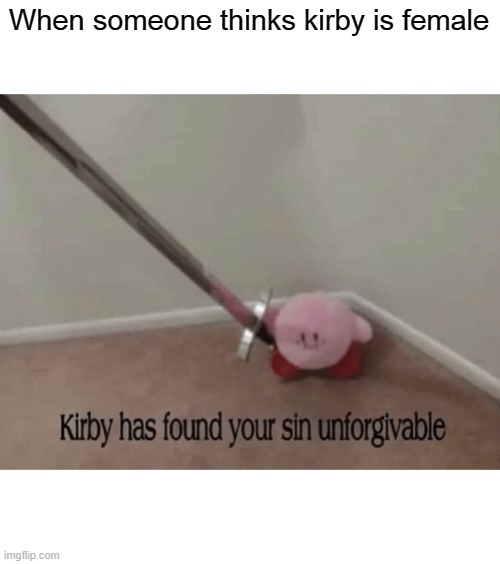 When someone thinks Kirby is female | When someone thinks kirby is female | image tagged in kirby has found your sin unforgivable,memes,funny,so true memes,kirby,gender | made w/ Imgflip meme maker