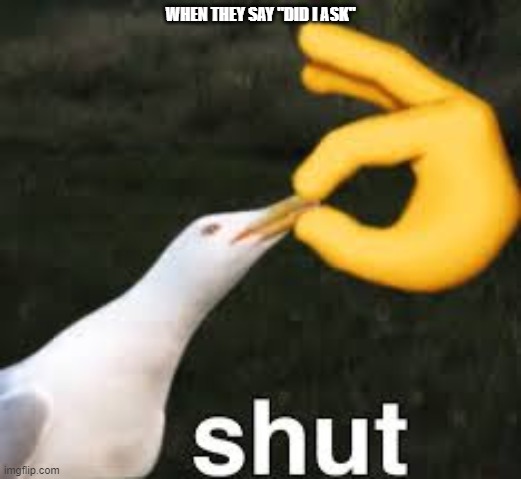 Shut Bird | WHEN THEY SAY "DID I ASK" | image tagged in shut bird | made w/ Imgflip meme maker