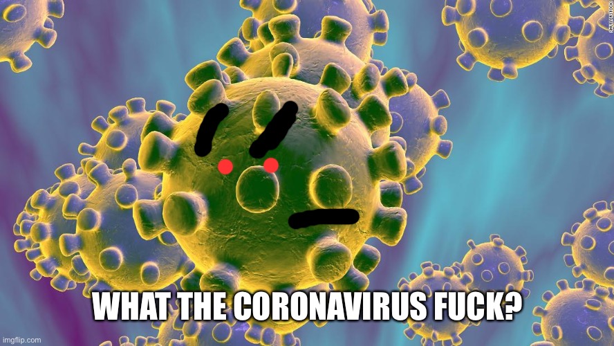Coronavirus | WHAT THE CORONAVIRUS FUCK? | image tagged in coronavirus | made w/ Imgflip meme maker