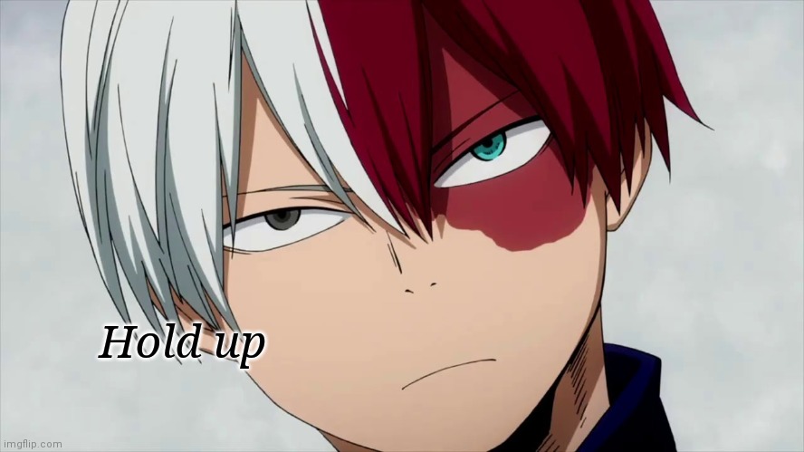 Bruh Todoroki | Hold up | image tagged in bruh todoroki | made w/ Imgflip meme maker