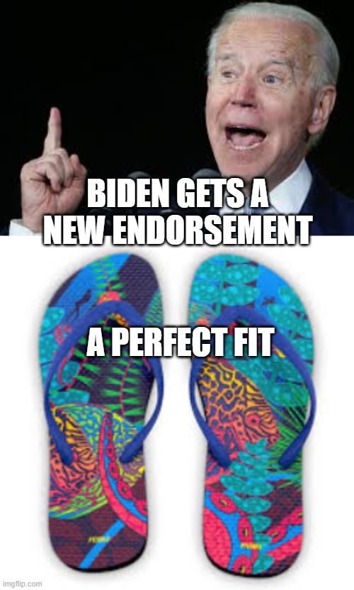 Flip flops endorsed by Biden | BIDEN GETS A NEW ENDORSEMENT; A PERFECT FIT | image tagged in biden,flip flops,democrat,losers | made w/ Imgflip meme maker