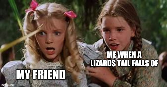 Yessir | ME WHEN A LIZARDS TAIL FALLS OF; MY FRIEND | image tagged in memes,funny memes | made w/ Imgflip meme maker