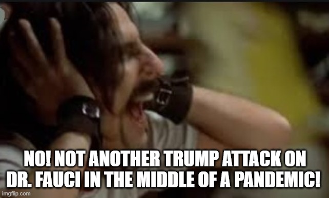 screaming Alice Cooper Trump vs Fauci | NO! NOT ANOTHER TRUMP ATTACK ON DR. FAUCI IN THE MIDDLE OF A PANDEMIC! | image tagged in screaming alice cooper,donald trump,anthony fauci | made w/ Imgflip meme maker
