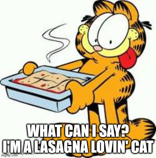 TRUE | WHAT CAN I SAY? I'M A LASAGNA LOVIN' CAT | image tagged in garfield lasagna | made w/ Imgflip meme maker