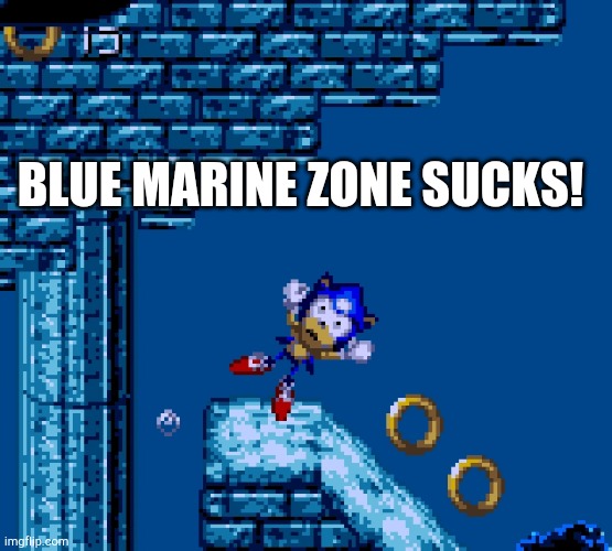 Blue Marine Zone | BLUE MARINE ZONE SUCKS! | image tagged in blue marine zone | made w/ Imgflip meme maker