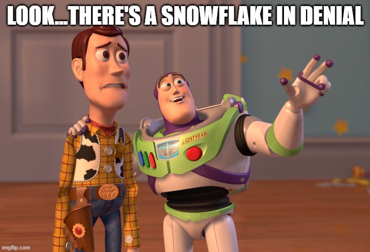 X, X Everywhere Meme | LOOK...THERE'S A SNOWFLAKE IN DENIAL | image tagged in memes,x x everywhere | made w/ Imgflip meme maker