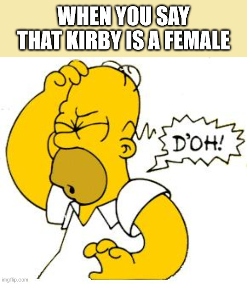 homer doh | WHEN YOU SAY THAT KIRBY IS A FEMALE | image tagged in homer doh | made w/ Imgflip meme maker