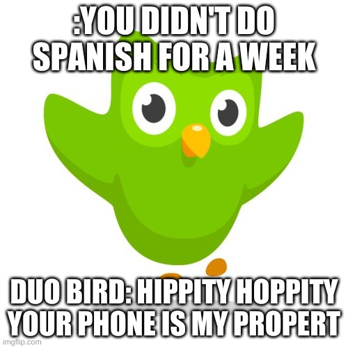 duolingo take away ur phone | :YOU DIDN'T DO SPANISH FOR A WEEK; DUO BIRD: HIPPITY HOPPITY YOUR PHONE IS MY PROPERT | image tagged in things duolingo teaches you | made w/ Imgflip meme maker