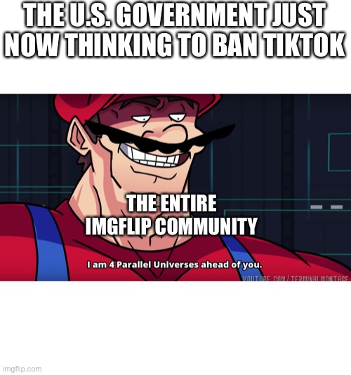 They should’ve listened to us | THE U.S. GOVERNMENT JUST NOW THINKING TO BAN TIKTOK; THE ENTIRE IMGFLIP COMMUNITY | image tagged in mario,tiktok,tik tok,i am 4 parallel universes ahead of you | made w/ Imgflip meme maker