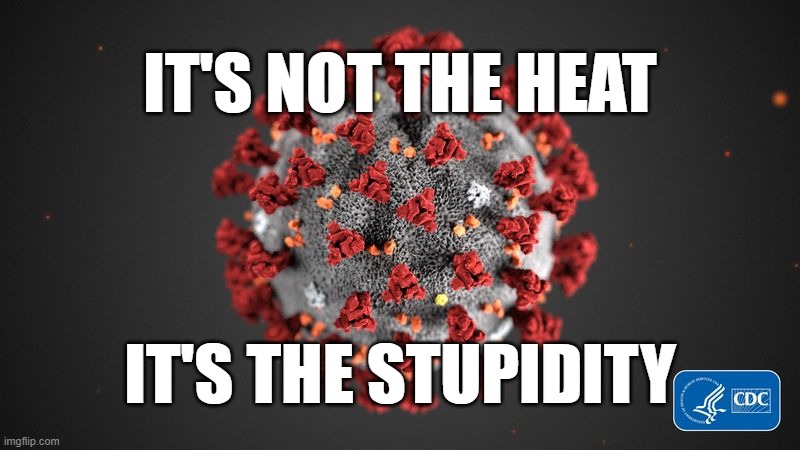 Infections are up where people are stupid | IT'S NOT THE HEAT; IT'S THE STUPIDITY | image tagged in covid 19,stupid people,summer time,heat | made w/ Imgflip meme maker
