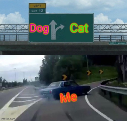 Left Exit 12 Off Ramp Meme | Dog; Cat; Me | image tagged in memes,left exit 12 off ramp,animals,choose wisely | made w/ Imgflip meme maker