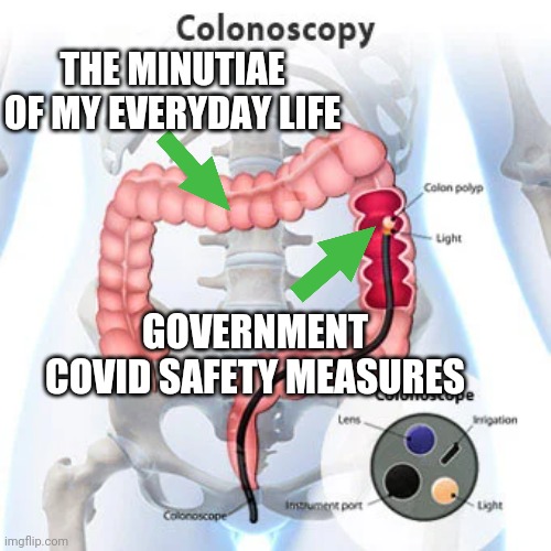 Control freaks | THE MINUTIAE OF MY EVERYDAY LIFE; GOVERNMENT COVID SAFETY MEASURES | image tagged in covid,colonoscopy,liberals,social distancing,government,control | made w/ Imgflip meme maker